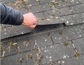 Roofing - Roof Repair Photo 1