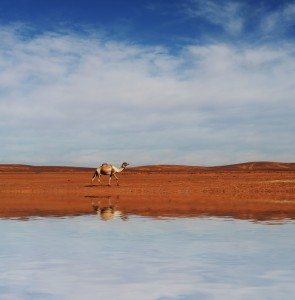 mirage in the desert