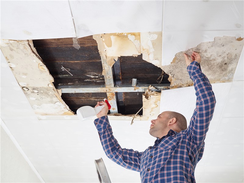 5 Things You Need to Know About Commercial Restoration Services