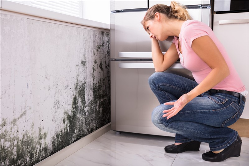 5 Signs That Mold is Growing in Your Home