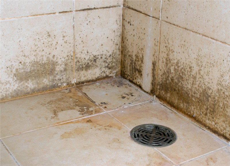 Problems You May Run into During a Bathroom Remodel