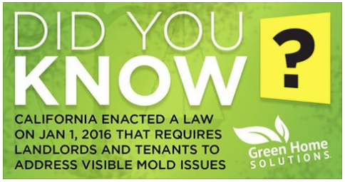 Mold In Bathroom Landlord Responsibility ca mold law protects landlords & tenants throughout bay area Mold In Bathroom Landlord Responsibility ca mold law protects landlords & tenants throughout bay area