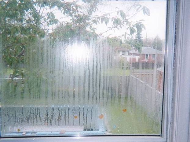 condensation windows