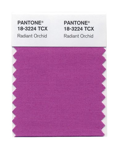 pantone color of the year 