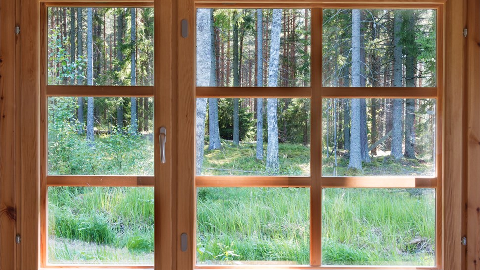 Windows - Wood Windows Photo 1